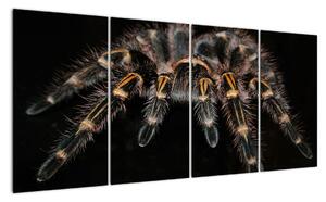 Obraz - Tarantula (Obraz 160x80cm)