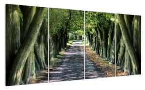 Údolie stromov, obrazy (Obraz 160x80cm)