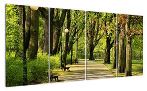 Cesta v parku - obraz (Obraz 160x80cm)