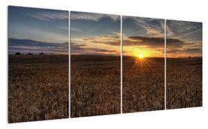 Západ slnka na poli - obraz na stenu (Obraz 160x80cm)