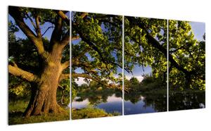 Obrázok stromu - moderné obrazy (Obraz 160x80cm)