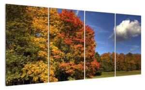 Jesenné stromy - obraz (Obraz 160x80cm)