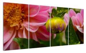 Obraz kvetu rastliny (Obraz 160x80cm)