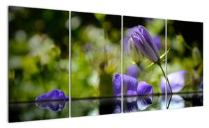 Modrá kvetina - obraz (Obraz 160x80cm)