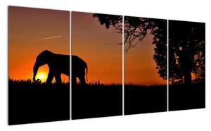 Obraz slona v prírode (Obraz 160x80cm)