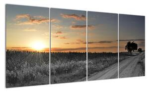 Západ slnka - obraz (Obraz 160x80cm)