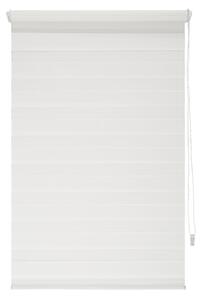 Livarno Home Roleta deň a noc, biela (80 x 150 cm) (100333596)