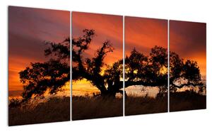Strom v krajině - obraz (Obraz 160x80cm)