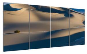Púšť - obraz (Obraz 160x80cm)