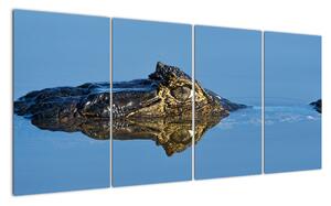 Ostrov - obraz (Obraz 160x80cm)