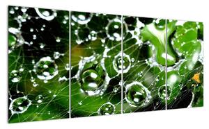 Kvapky vody - obrazy (Obraz 160x80cm)