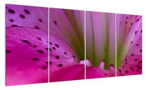 Detail kvetu - moderný obraz (Obraz 160x80cm)
