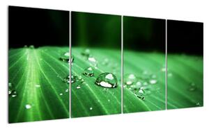 Kvapky vody - obraz (Obraz 160x80cm)