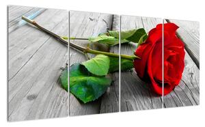 Ruža červená - obraz (Obraz 160x80cm)