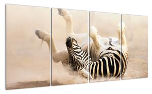 Obraz zebry (Obraz 160x80cm)