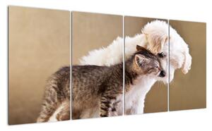 Mačiatko a šteňa - obraz (Obraz 160x80cm)