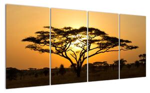 Fotka stromu - obraz (Obraz 160x80cm)