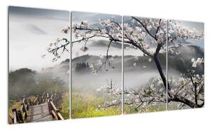 Sakura - obraz (Obraz 160x80cm)