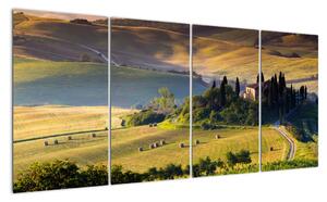 Panorama prírody - obraz (Obraz 160x80cm)