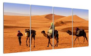 Ťavy v púšti - obraz (Obraz 160x80cm)