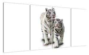 Tiger biely - obraz (Obraz 160x80cm)