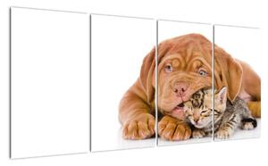 Šteňa a mačiatko - obraz (Obraz 160x80cm)