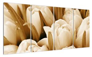 Obraz tulipánov (Obraz 160x80cm)