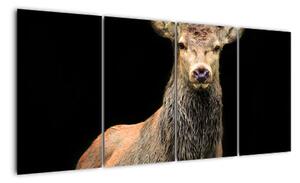 Jelen - obraz (Obraz 160x80cm)