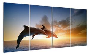 Delfíny - obraz (Obraz 160x80cm)