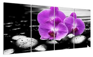 Obraz orchideí (Obraz 160x80cm)