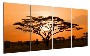 Obraz stromu (Obraz 160x80cm)