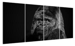 Obraz opice (Obraz 160x80cm)