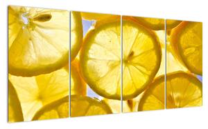 Plátky citrónov - obraz (Obraz 160x80cm)