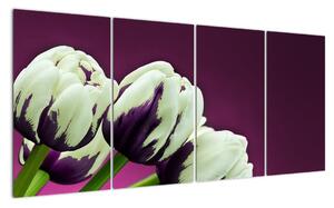Makro tulipánov - obraz (Obraz 160x80cm)