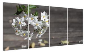 Obrazy kvetiny (Obraz 160x80cm)
