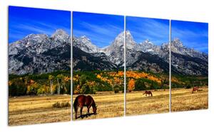 Panorama krajiny - obraz (Obraz 160x80cm)