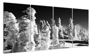 Obraz - zimné hory (Obraz 160x80cm)