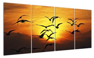 Obraz letiacich vtákov (Obraz 160x80cm)