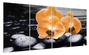 Kvet orchidey - obraz na stenu (Obraz 160x80cm)
