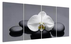 Kvet orchidey - moderný obraz (Obraz 160x80cm)