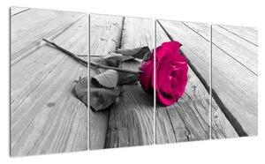 Obrazy kvetov - ruža (Obraz 160x80cm)