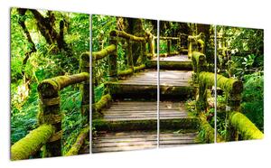 Schody v záhrade - obraz (Obraz 160x80cm)