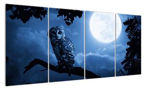 Nočná príroda, obrazy (Obraz 160x80cm)