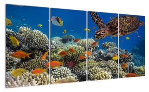 Obraz podmorského sveta (Obraz 160x80cm)