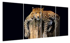 Leopard, obraz (Obraz 160x80cm)