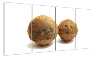 Kokosový orech, obraz (Obraz 160x80cm)