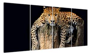 Leopard, obraz (Obraz 160x80cm)