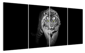 Tiger čiernobiely, obraz (Obraz 160x80cm)