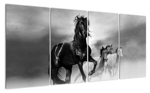 Čiernobiely obraz koňov (Obraz 160x80cm)