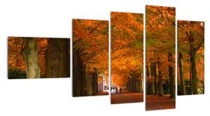 Obraz cesty lesom na jeseň (Obraz 110x60cm)